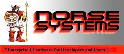 Norse Systems Logo